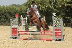 04 - BRUNELLI